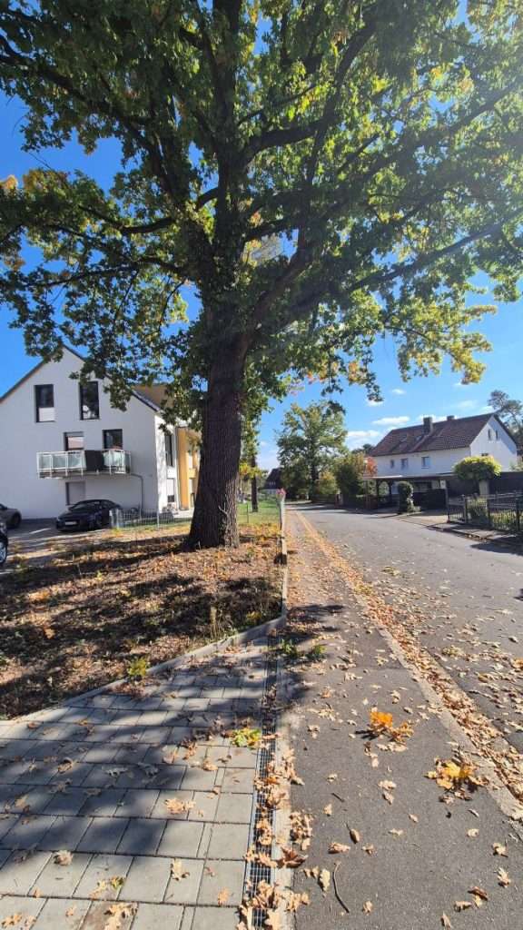 Zufahrt zur Privatpraxis Dr. med. Doris Gottfried in Uttenreuth bei Erlangen mit Patientenparkplätzen und zusätzlichen Parkmöglichkeiten entlang der Straße